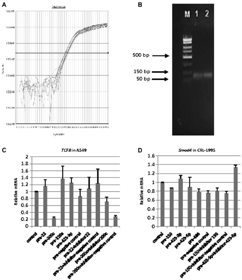 Fig.6