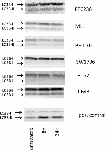 Fig. 7