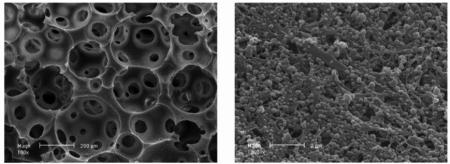 graphic file with name nihms-723637-f0001.jpg