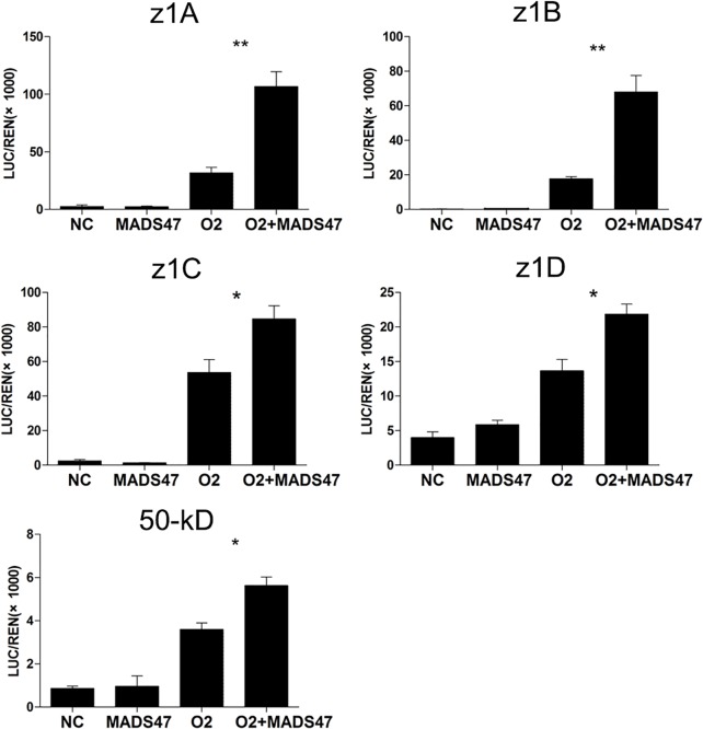 Fig 6