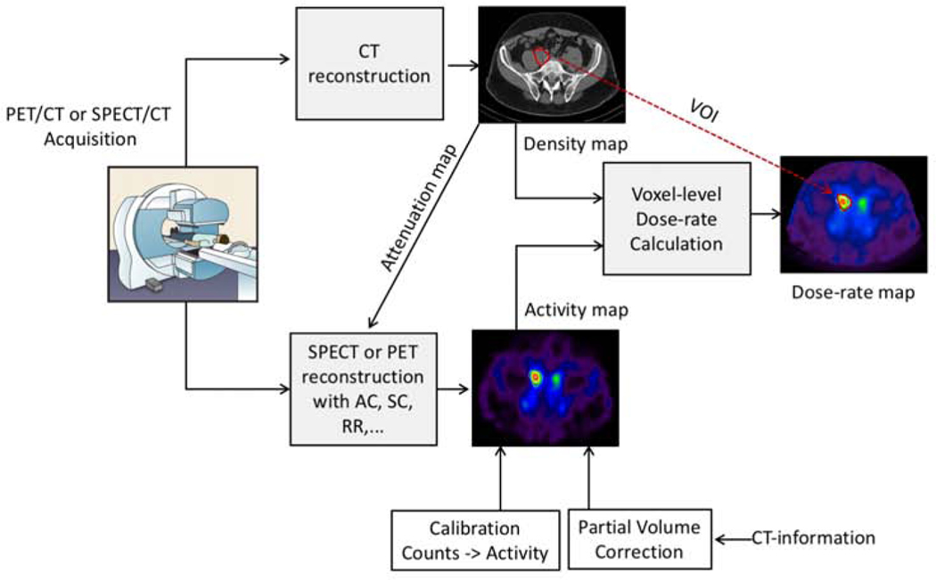 Figure 1 :