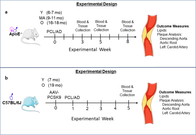 Fig. 10