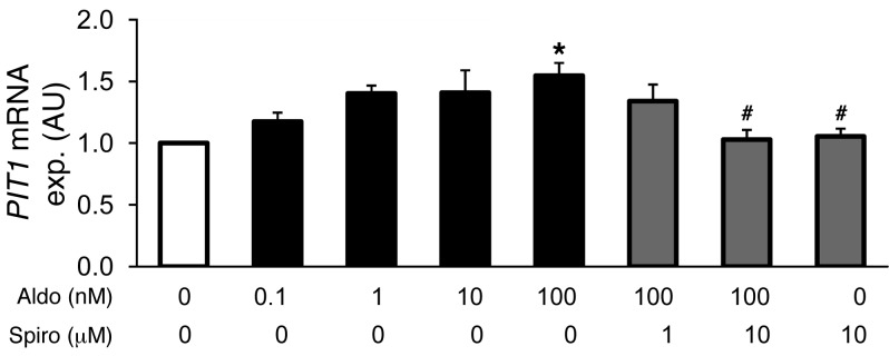 Figure 6