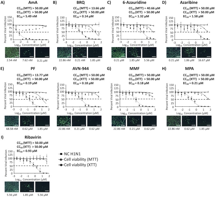 FIG 11