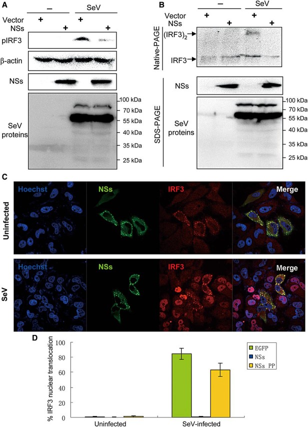 Figure 4