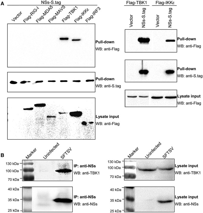 Figure 6