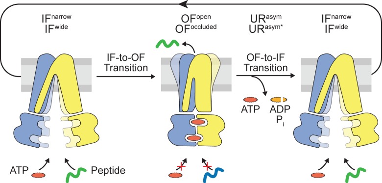 Figure 6.