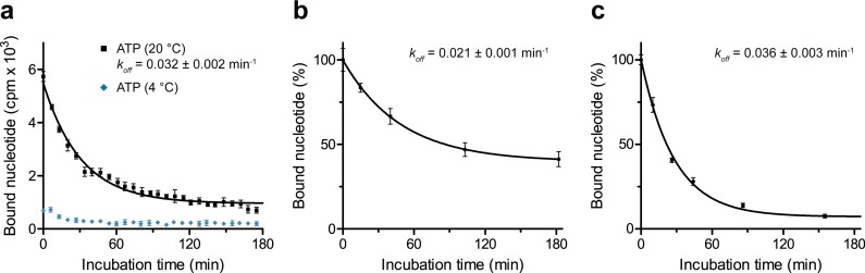 Figure 2—figure supplement 1.