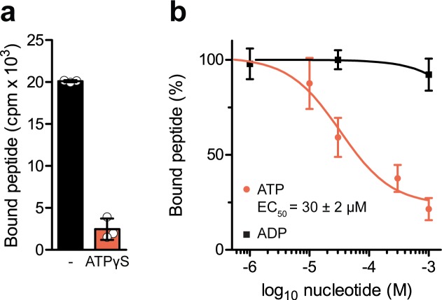 Figure 1—figure supplement 2.