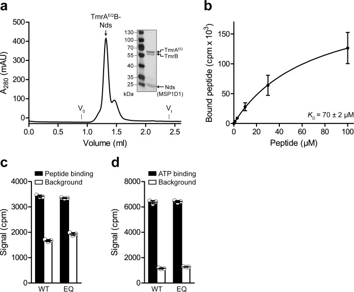 Figure 1—figure supplement 1.