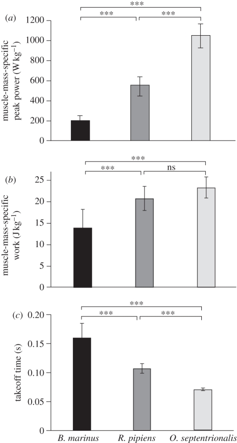 Figure 2.