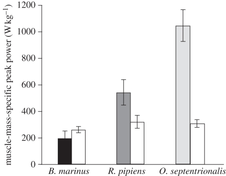 Figure 4.