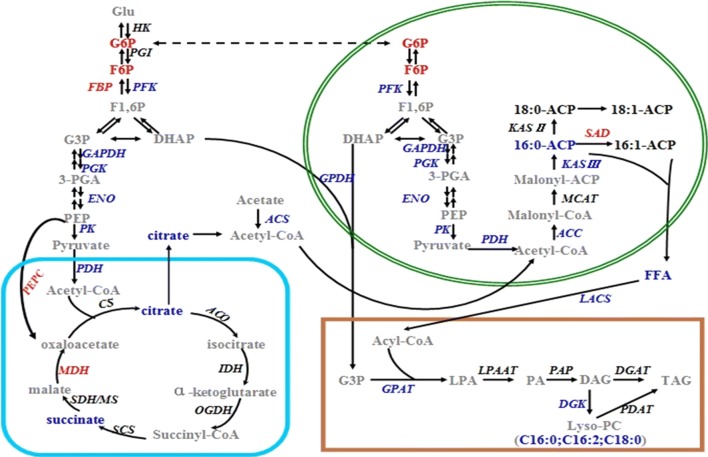 Fig. 4