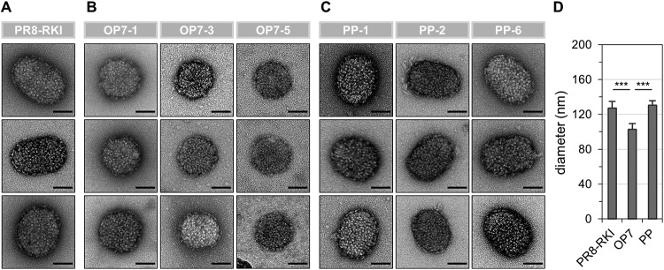 FIG 6