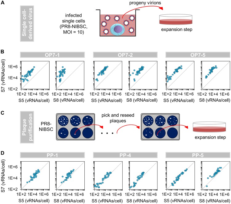 FIG 3