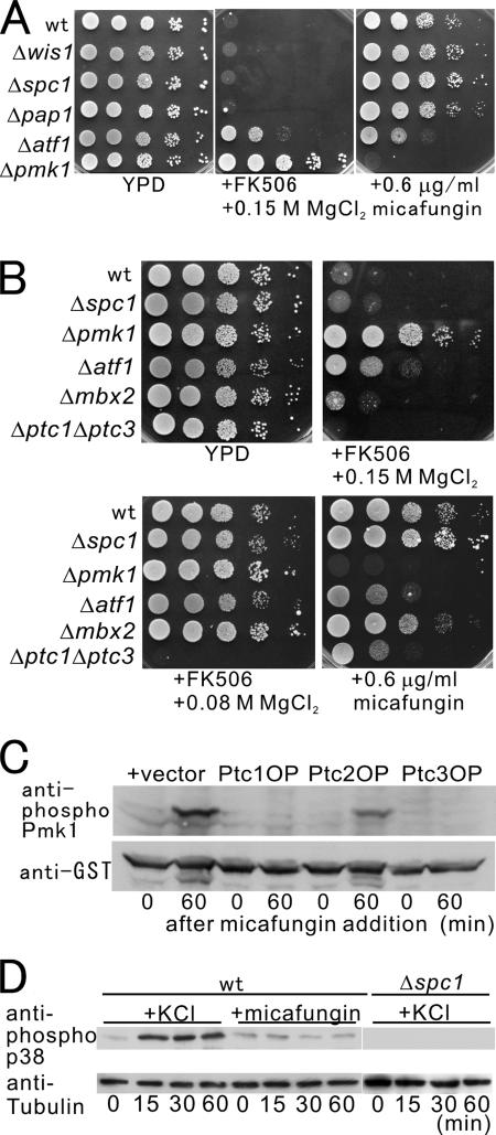 Figure 5.