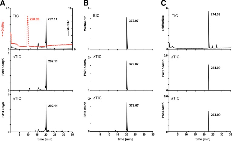 FIG. 2.