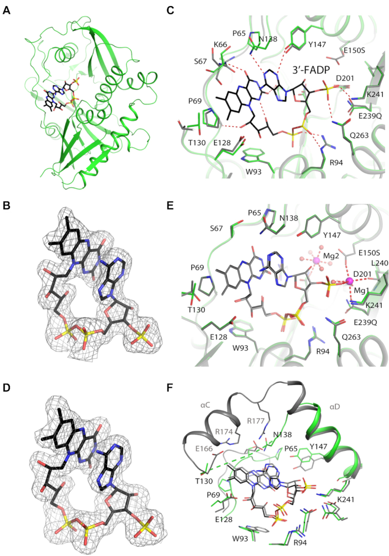 Figure 3.