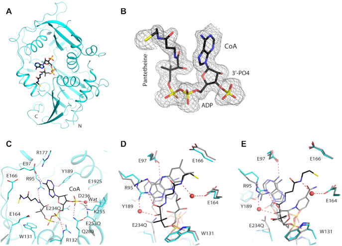 Figure 4.