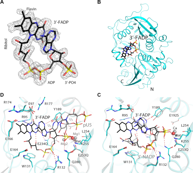 Figure 2.