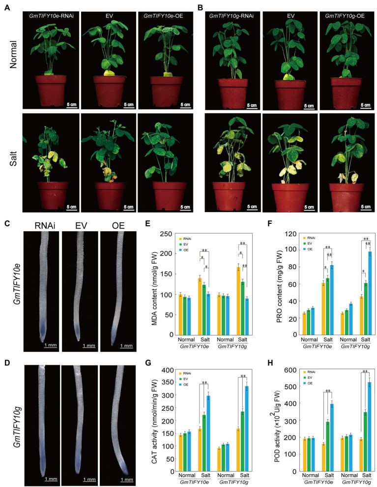Figure 10