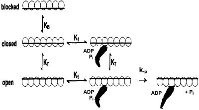 Fig 6.