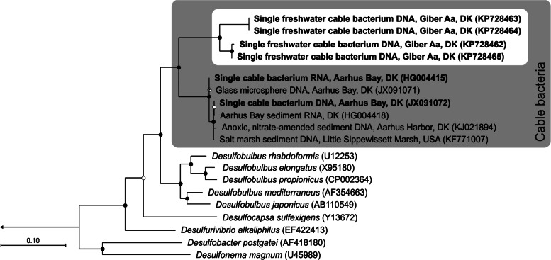 FIG 6