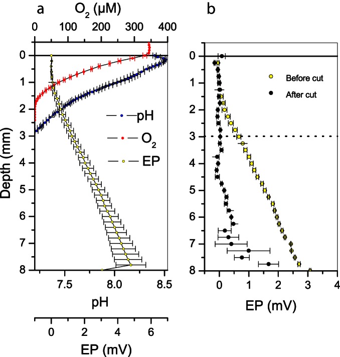 FIG 4