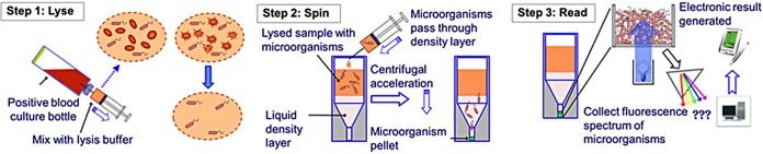 FIG 5 