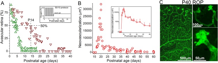 Fig. S1.