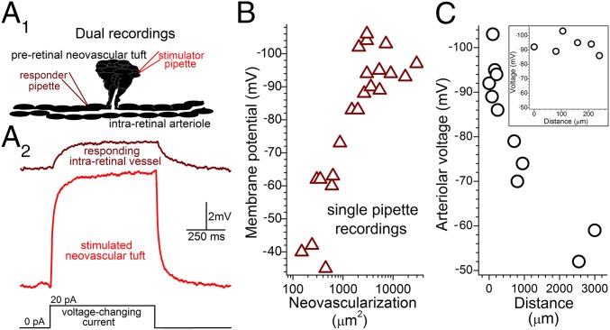 Fig. 3.