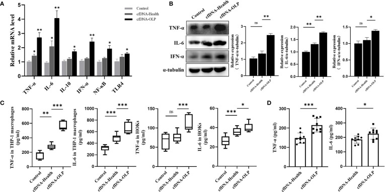 Figure 2