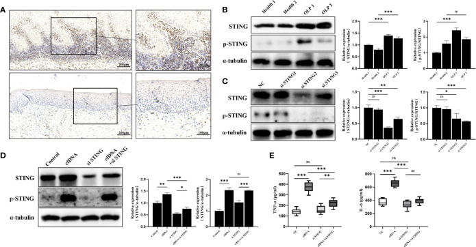 Figure 3