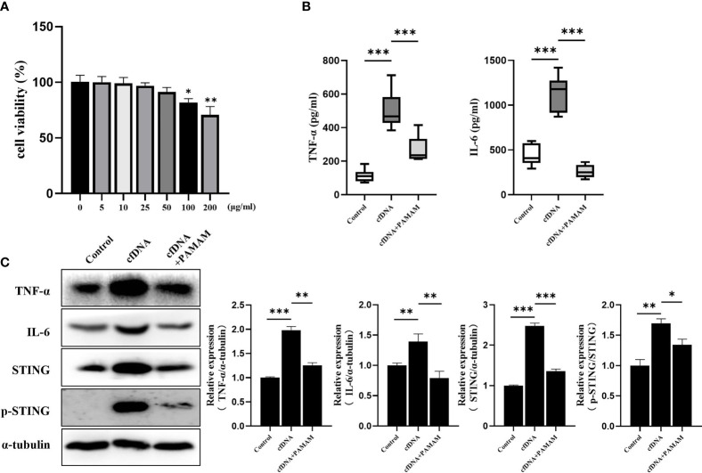 Figure 4