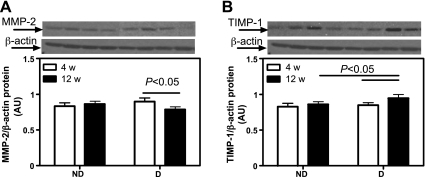 Fig. 9.