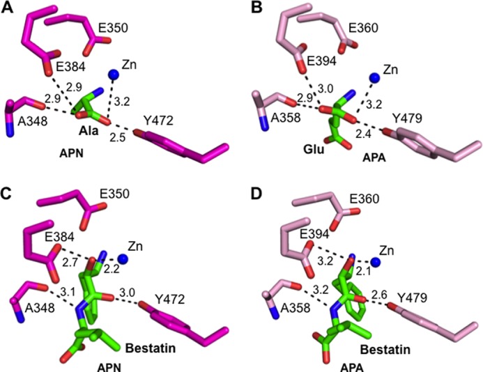 FIGURE 4.