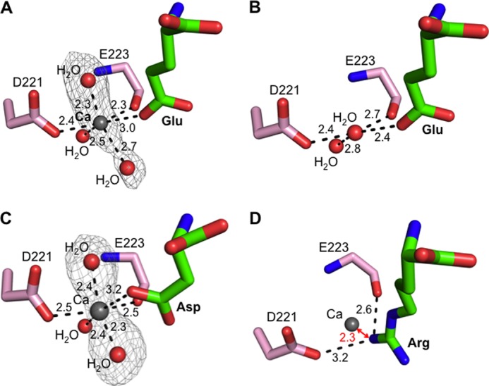 FIGURE 7.