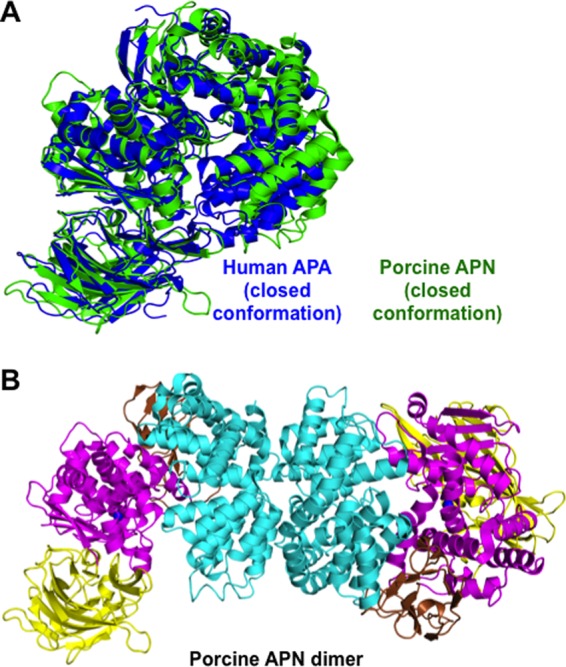 FIGURE 3.