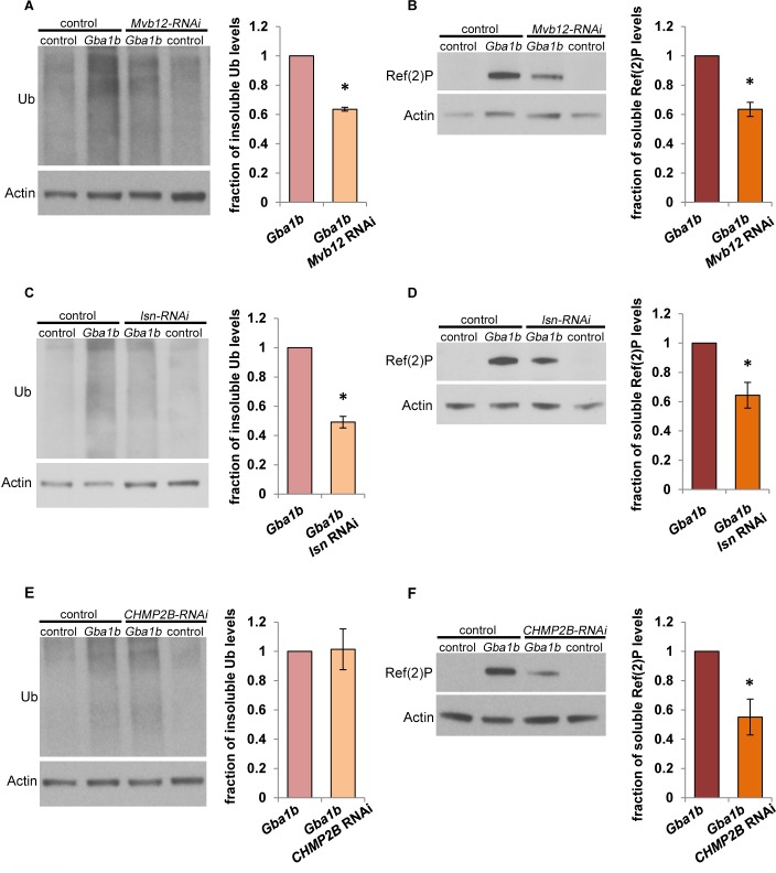 Fig 10