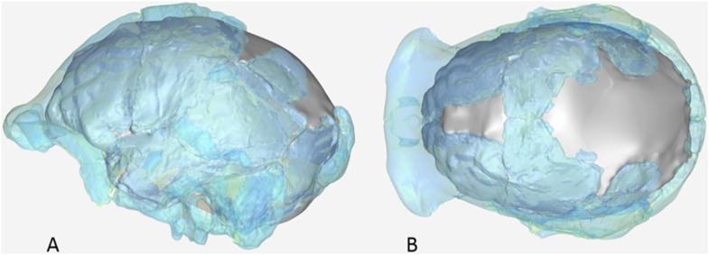 Figure 20.