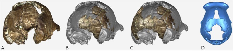 Figure 17.