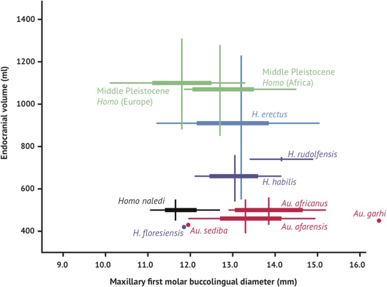 Figure 12.