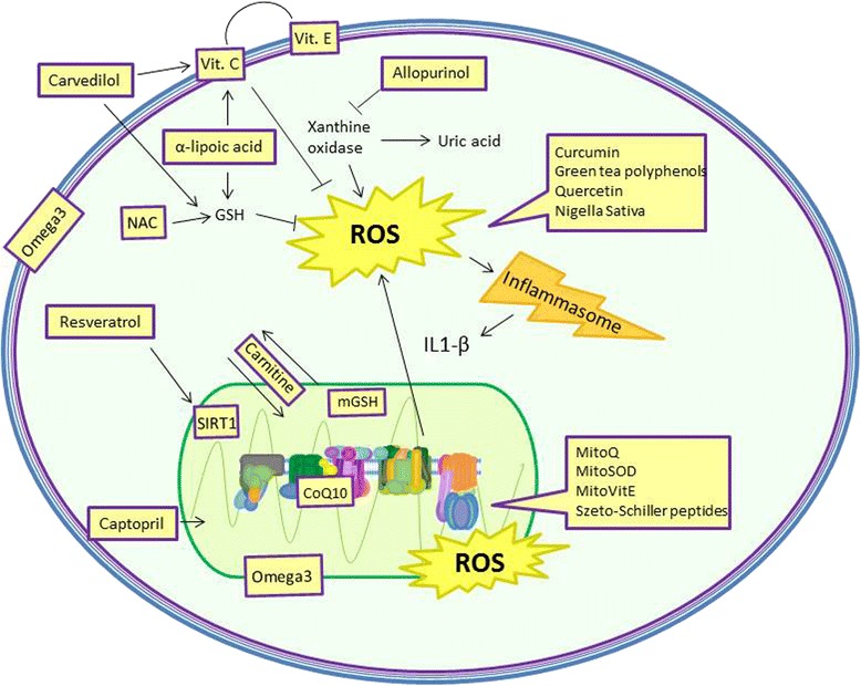 Fig. 3