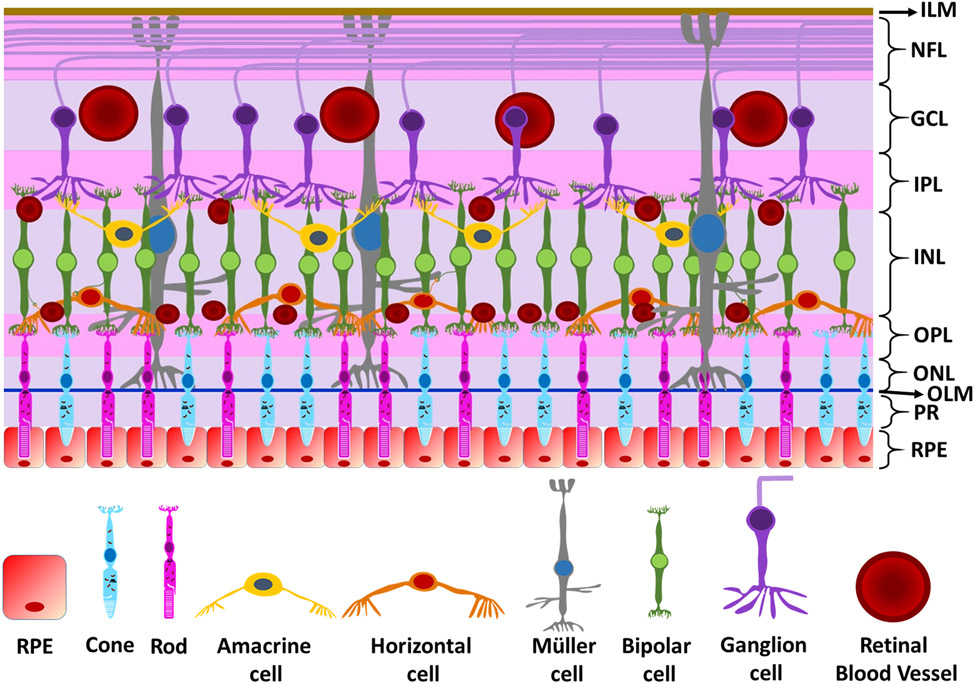 Figure 3.