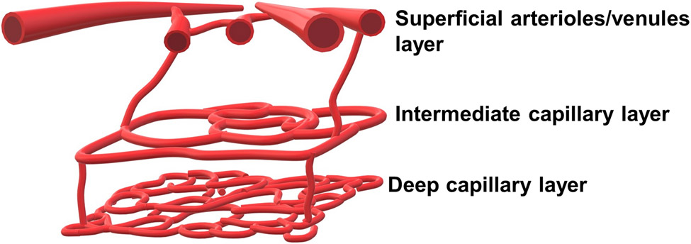 Figure 6.