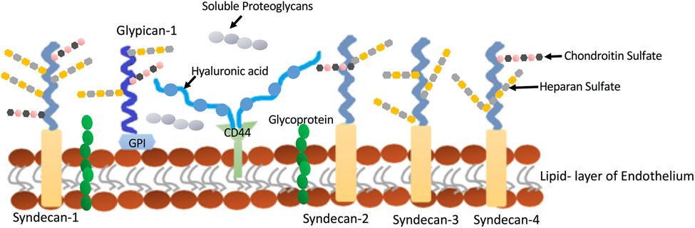 Figure 9.