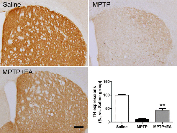 Fig. 2