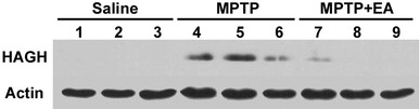 Fig. 5