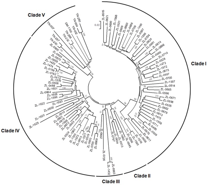 Fig 3