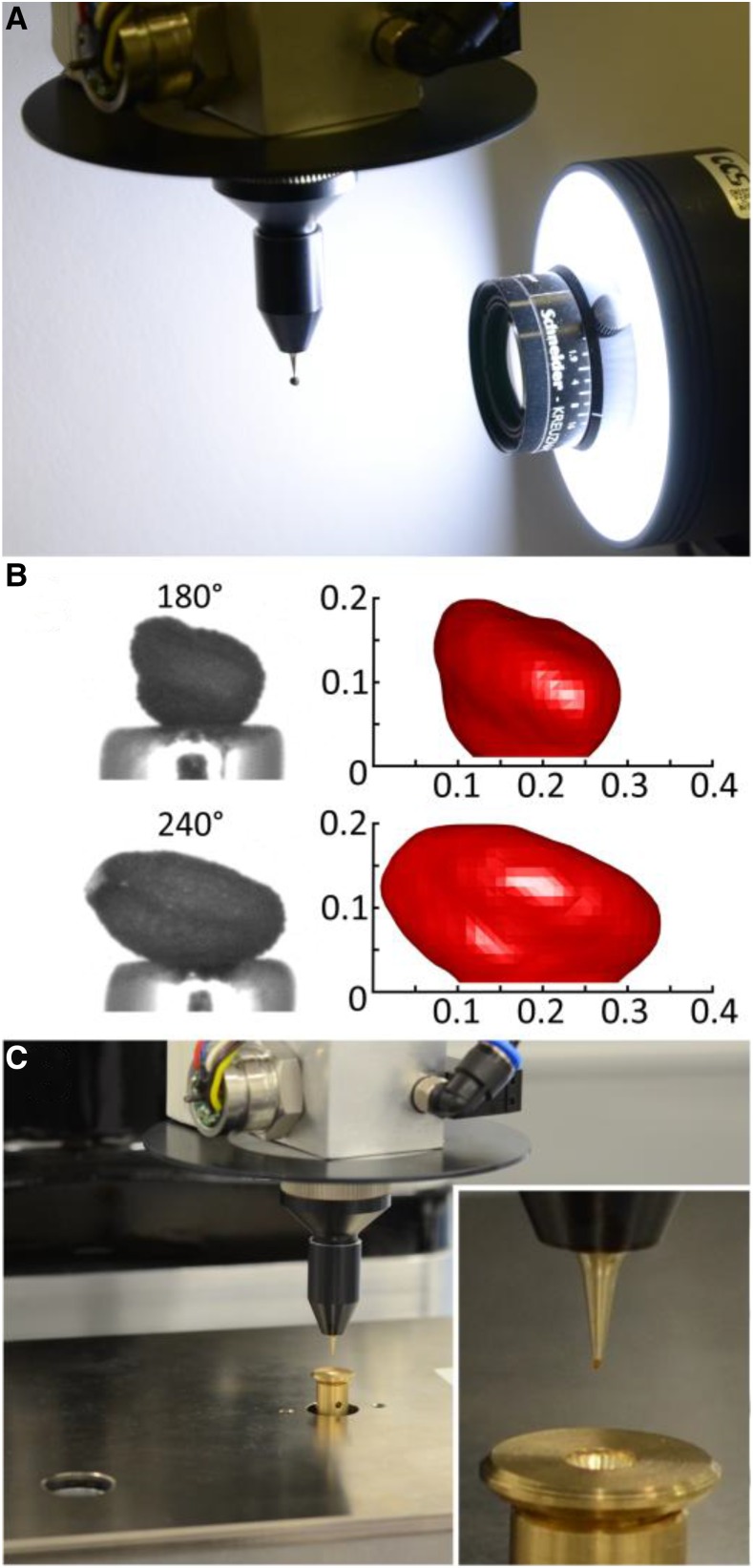 Figure 4.